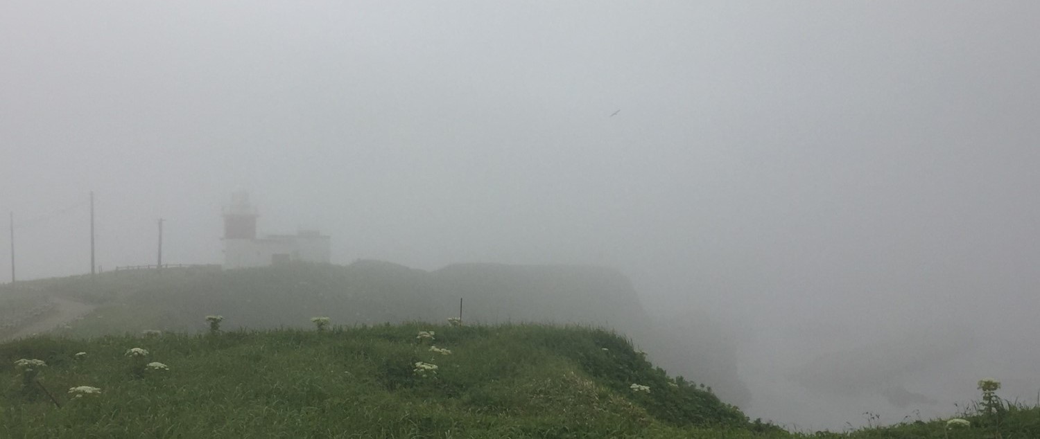 霧の花咲灯台