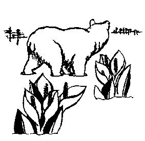 水芭蕉の間を歩く熊のイラスト