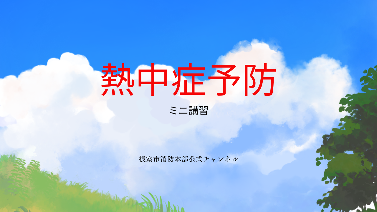 動画サムネイルの画像