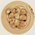 桑実胚の写真