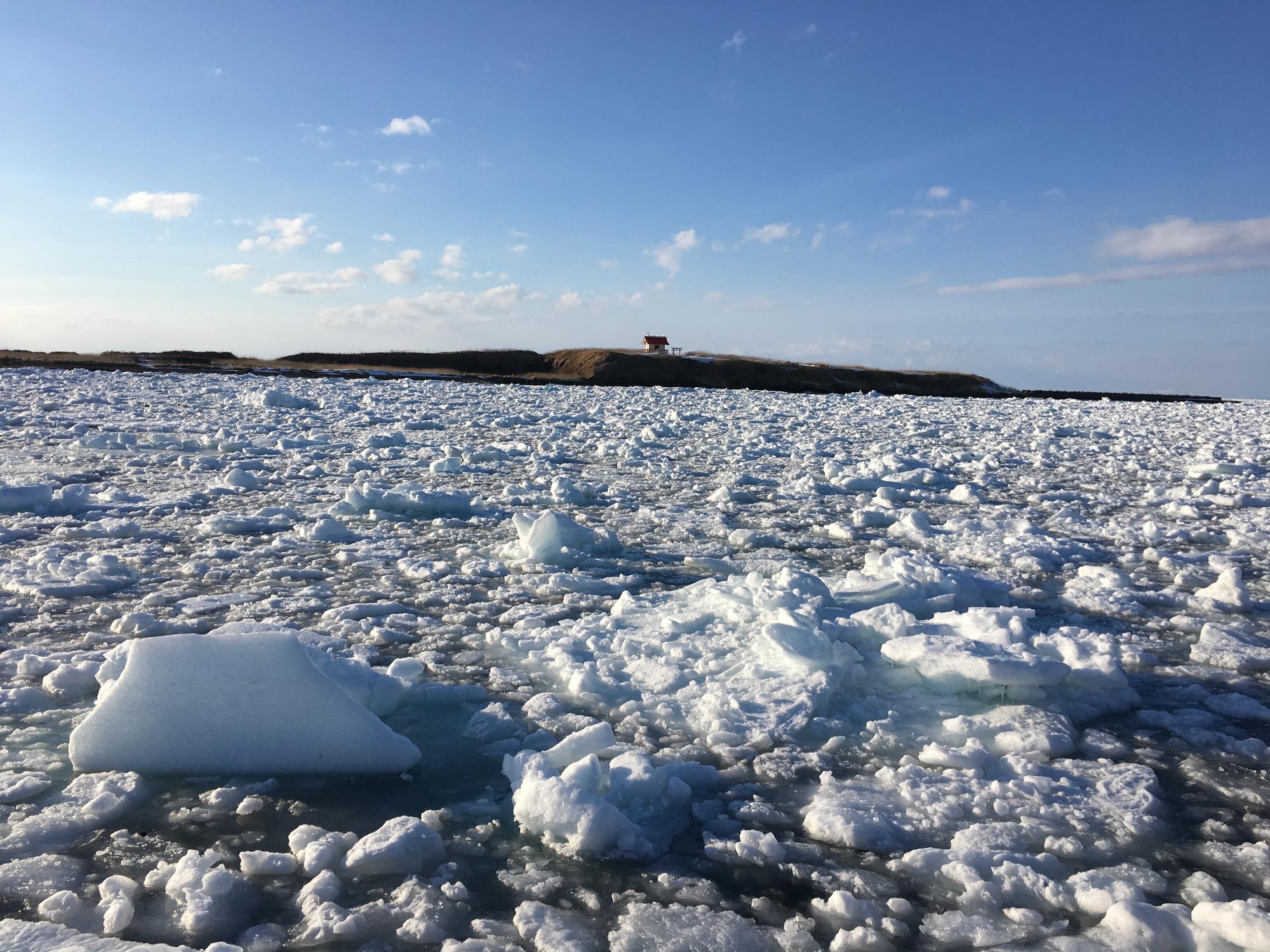 流氷の入った根室港