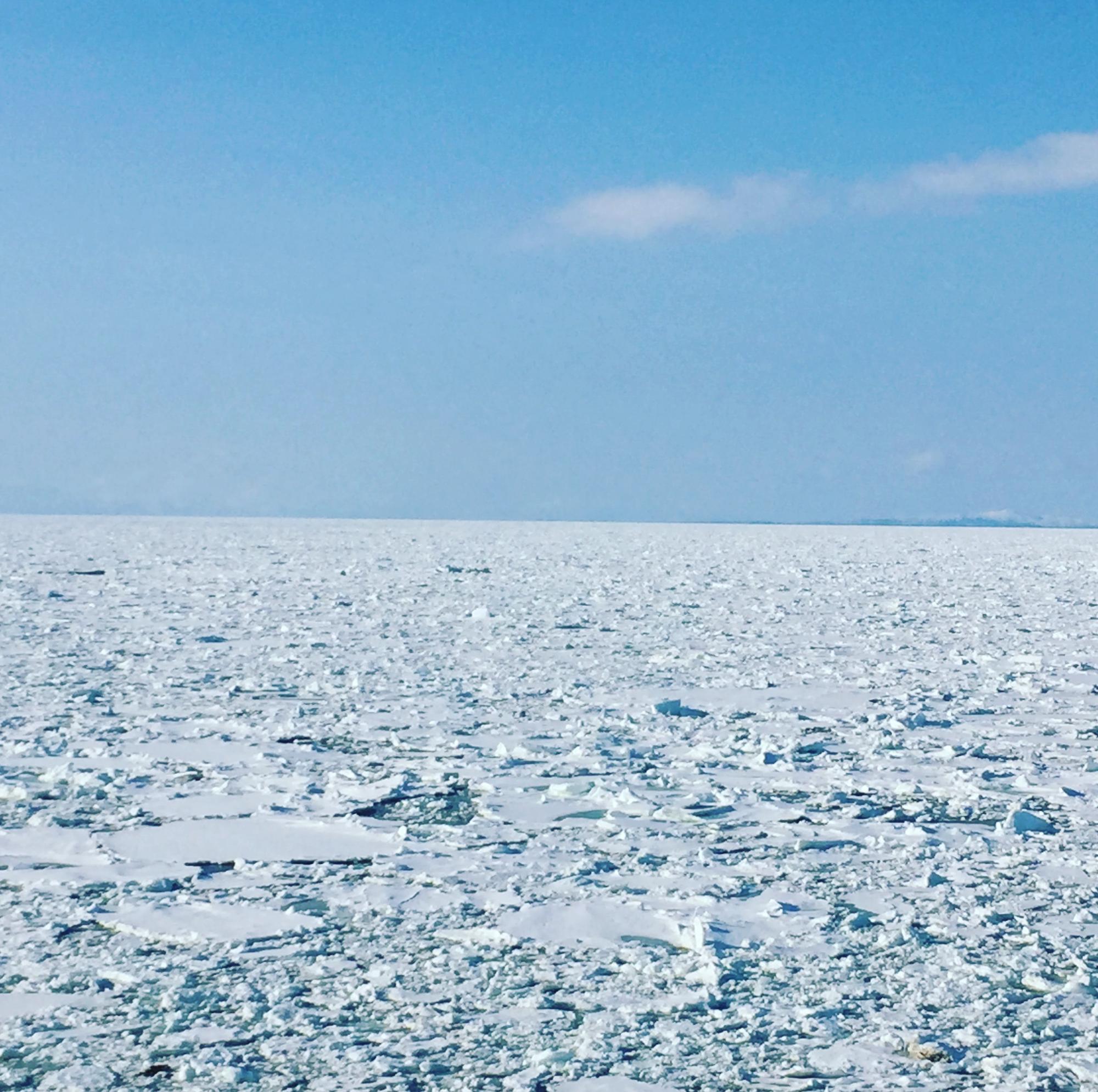 根室海峡を埋める流氷