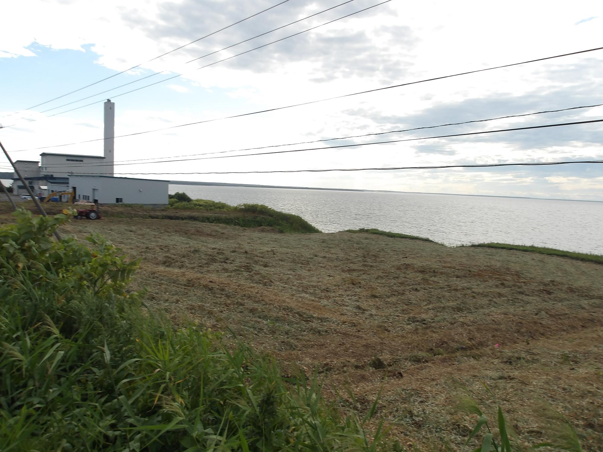 建設地（東側より撮影）
