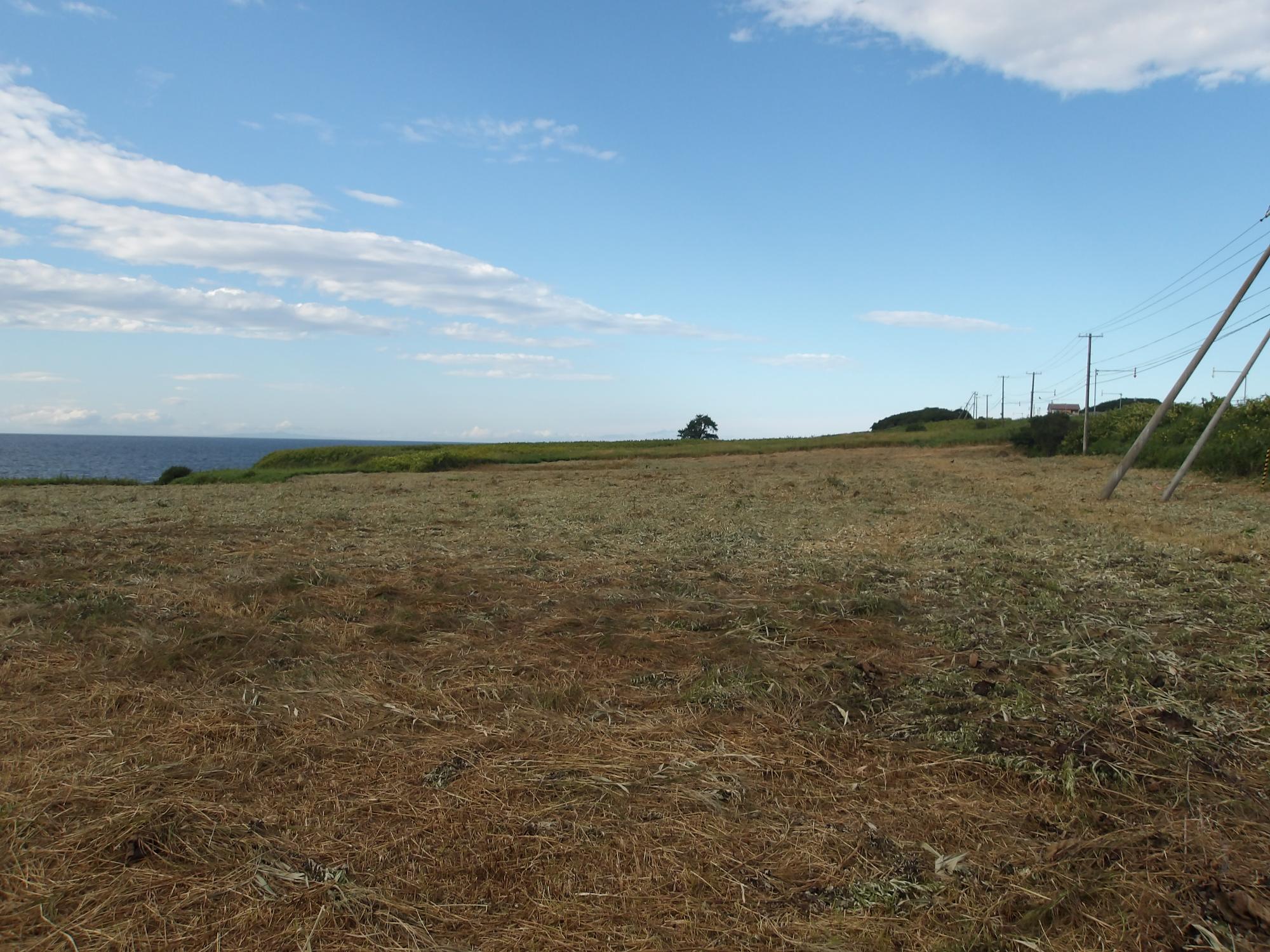 建設地（南側より撮影）