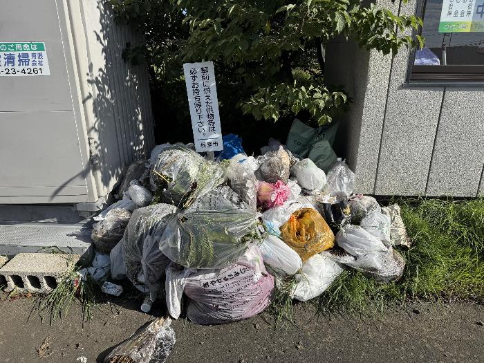 西浜墓地不法投棄