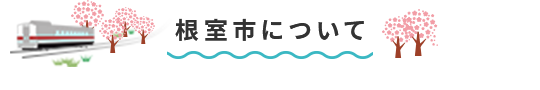 根室市について