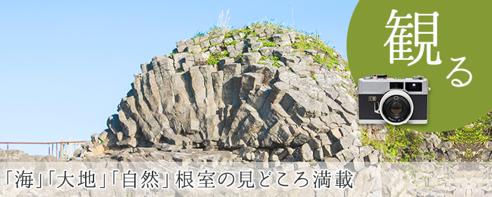 観る　「海」「大地」「自然」根室の見どころ満載